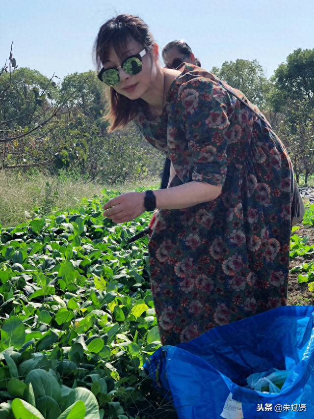 美女们周末到农村采风，拔萝卜包水饺，感叹真不想回家了！