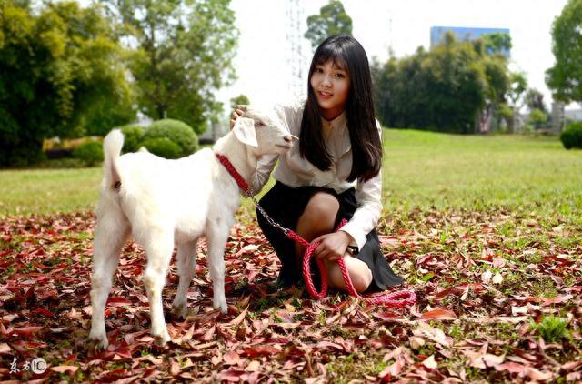 小说：女总裁半路捡到便宜丈夫，当得知丈夫是豪门之子后，她傻了