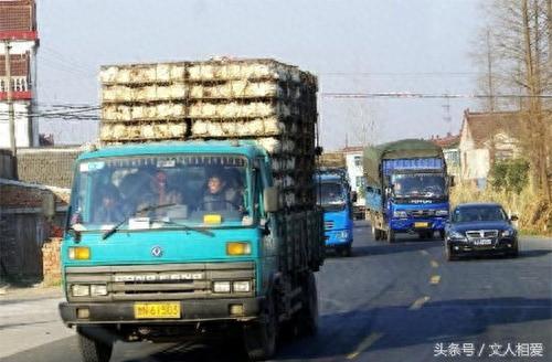 令人难以忘怀的外出岁月：我和鸡的一夜折腾