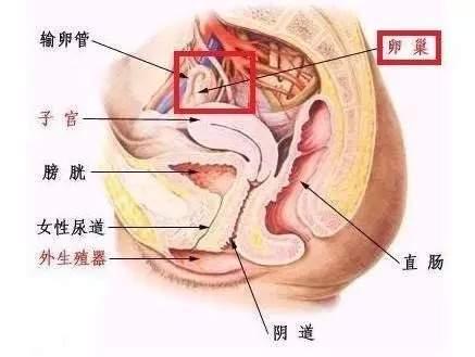 美容院害惨多少女人，这些坑人的美容项目，千万别再做了！