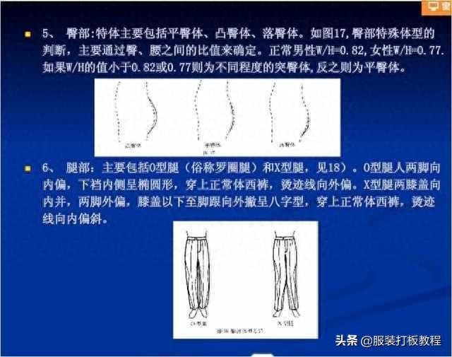 服装制版教程-人体体型与服装打版关系才智服装制版