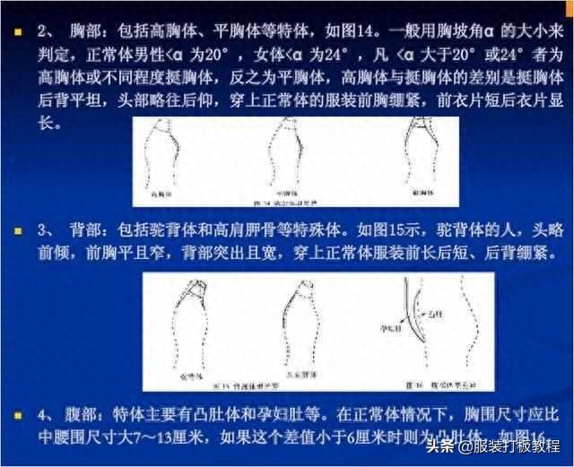 服装制版教程-人体体型与服装打版关系才智服装制版