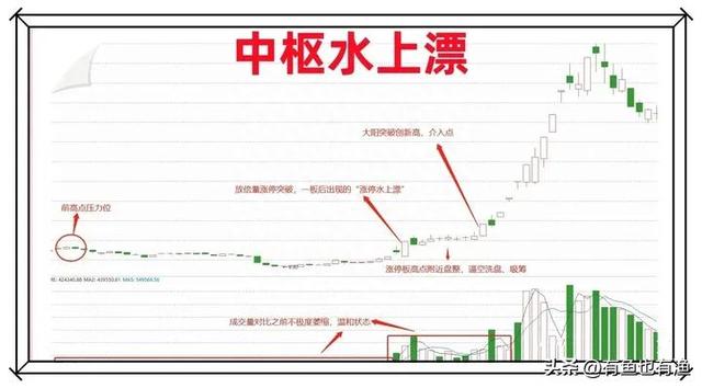 一般散户炒股能赚到钱吗？十五年老股民的肺腑之言，限时分享！