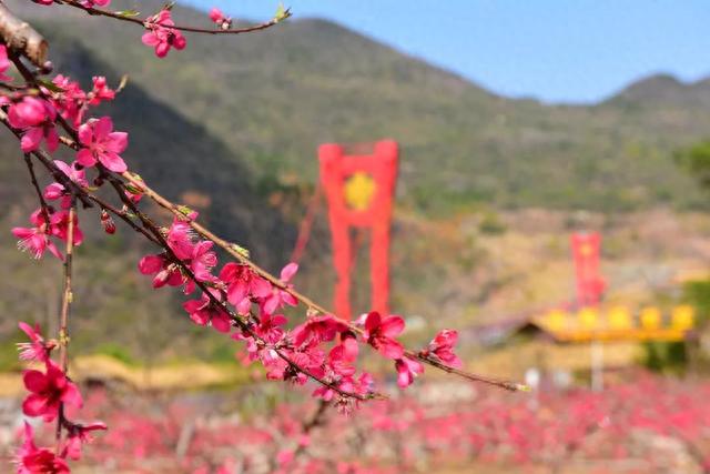 广东美女相约游山玩水，竟意外闯入繁花盛开的世外桃源！