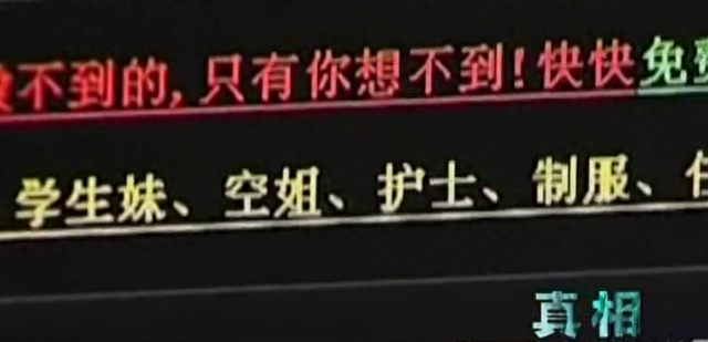 2009年，7.3亿访问量的色情网站“丁香”覆灭，背后是谁在操控？