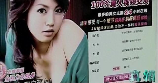 2009年，7.3亿访问量的色情网站“丁香”覆灭，背后是谁在操控？