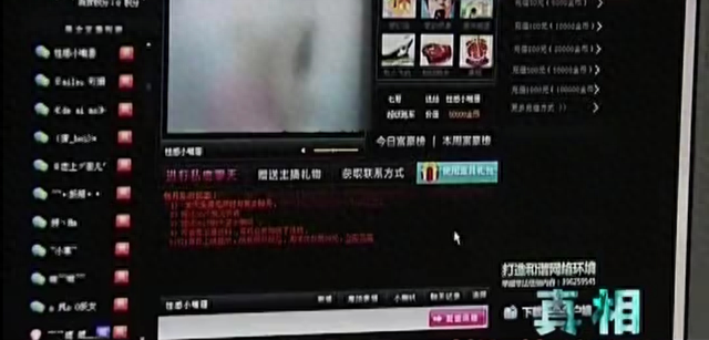 2009年，7.3亿访问量的色情网站“丁香”覆灭，背后是谁在操控？