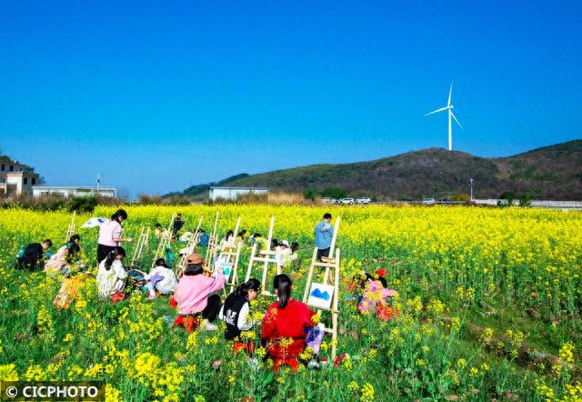 花海写生画春天