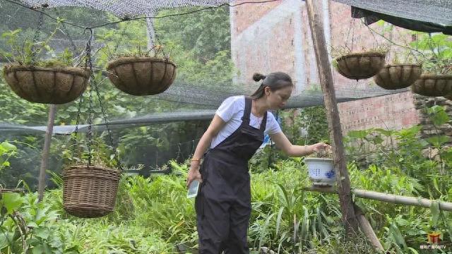 广南这位女子令人敬佩