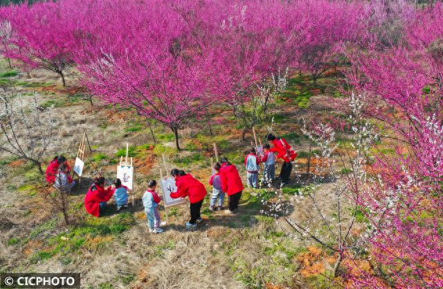 花海写生画春天