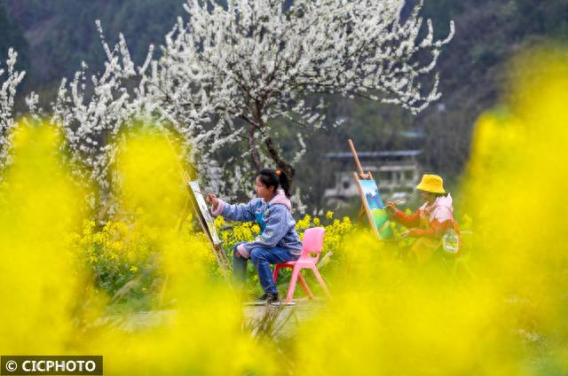 花海写生画春天