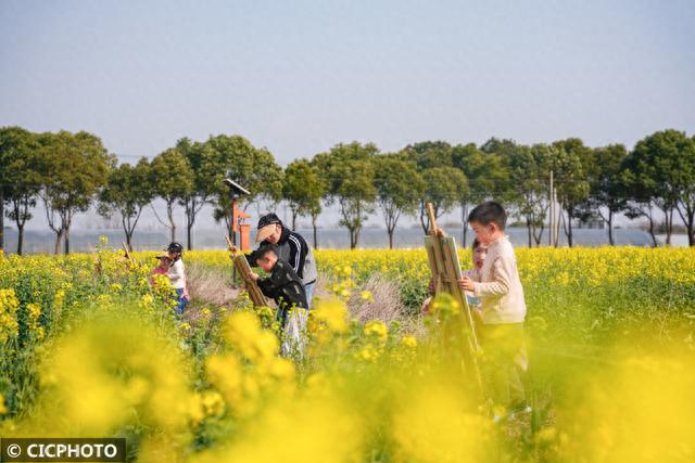 花海写生画春天