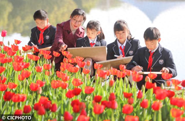 花海写生画春天