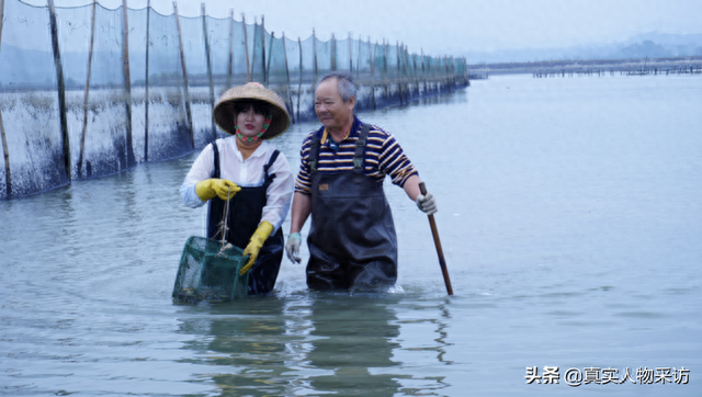 我，26岁广东女孩，逃离大城市回老家赶海，带领村民共同富裕