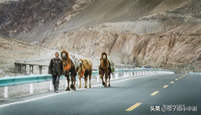 最刺激的七条公路，你的油门准备好了吗