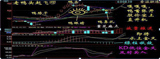 当你炒股越来越赚不到钱的时候，我双手奉上“老鸭头”选股法，让你天天复利赚钱，好股天天抓，涨停天天有