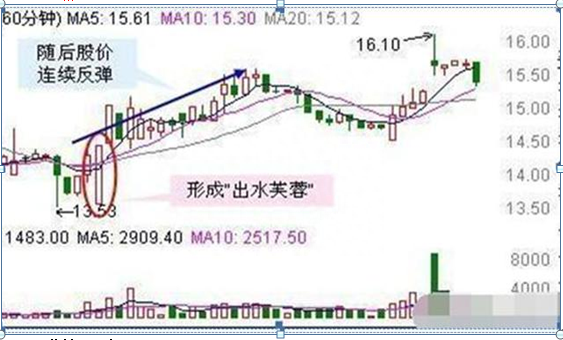 从入市10万本金到现在月入100万，只因反复坚守“买阴不买阳，卖阳不卖阴”读懂知买卖