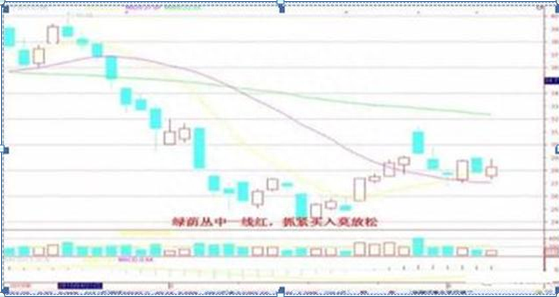 从入市10万本金到现在月入100万，只因反复坚守“买阴不买阳，卖阳不卖阴”读懂知买卖