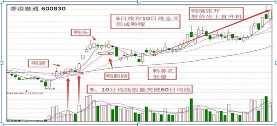 当你炒股越来越赚不到钱的时候，我双手奉上“老鸭头”选股法，让你天天复利赚钱，好股天天抓，涨停天天有