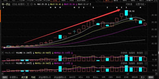 2022年各月最牛股，抓住就是10万倍！多路游资均有参与