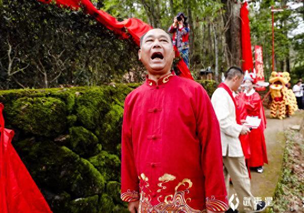 诗画问茶·大红袍｜武夷岩韵，悠然万古山水间