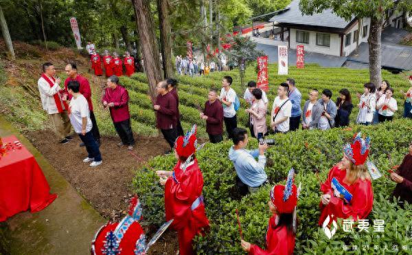 诗画问茶·大红袍｜武夷岩韵，悠然万古山水间