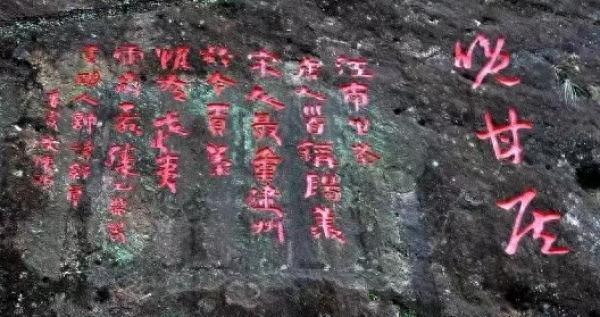 诗画问茶·大红袍｜武夷岩韵，悠然万古山水间