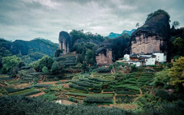 诗画问茶·大红袍｜武夷岩韵，悠然万古山水间