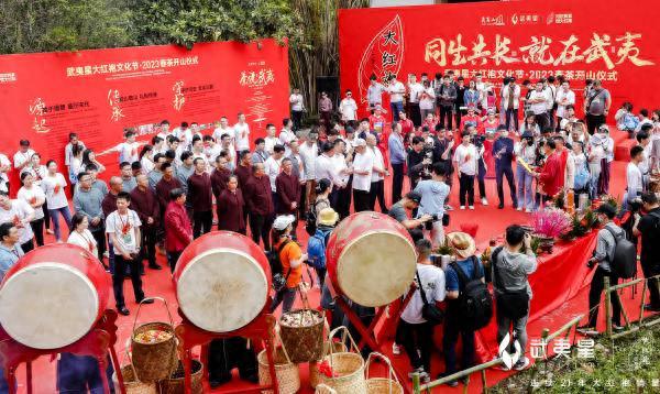 诗画问茶·大红袍｜武夷岩韵，悠然万古山水间