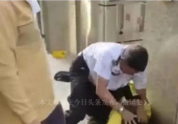 注意！南京禁养这30种犬种