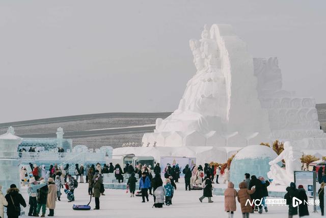 哈尔滨冰天雪地里继续火，南都给“小土豆”们存一组大片