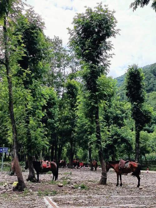 记录美丽中国之养马峡风景区