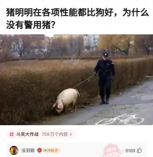 吃饱了还要吃？行为让人哭笑不得！