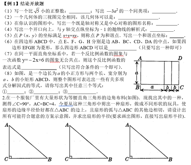 中考数学开放性问题专题资料