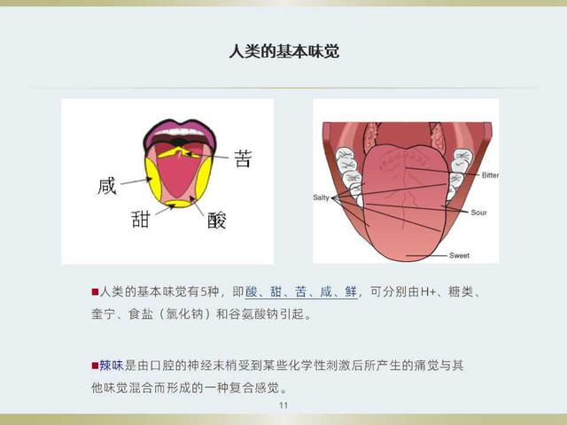 不知道食品感官评定如何做？看看这套感官评定体系培训教材吧