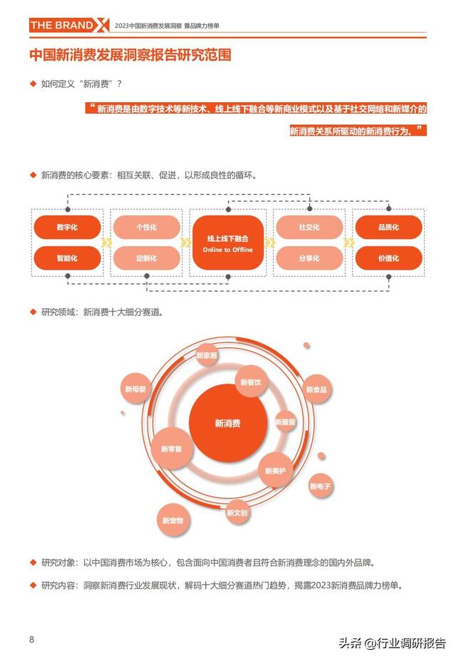 中国新消费发展洞察报告暨品牌力榜单（新消费十大细分赛道）