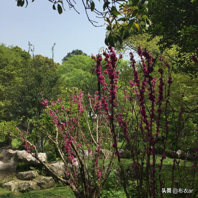 还是四月，游苏州东山启园，又名席家花园