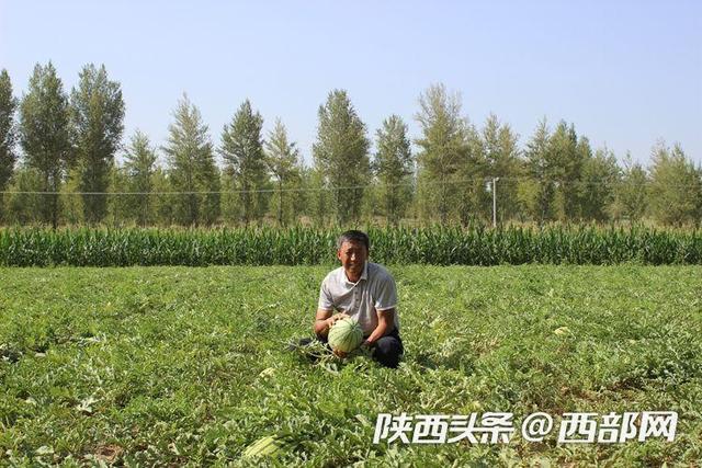 神木大保当镇红泥壕村：发展村集体经济 鼓起村民“钱袋子”