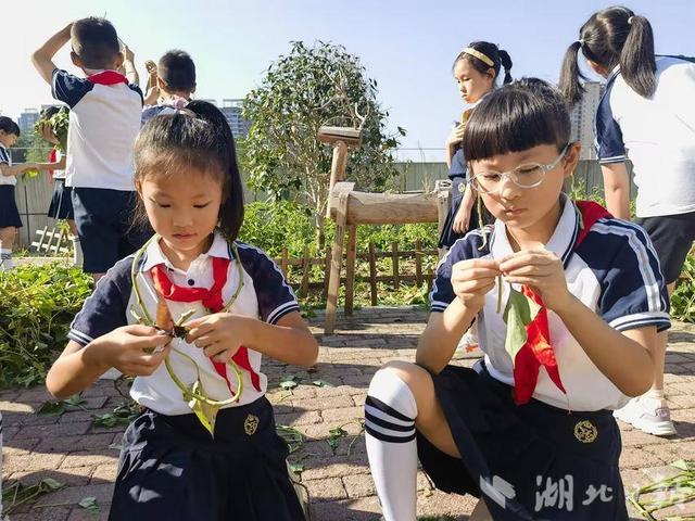 恩施市高旗实验小学：“泥”的童年 “薯”你最棒