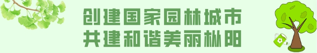 要闻丨县政府第43次常务会议召开