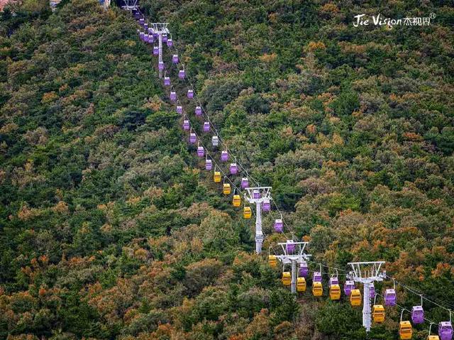 2596是一个约定还是一个承诺？打卡关于爱情的网红景点“莲花山”