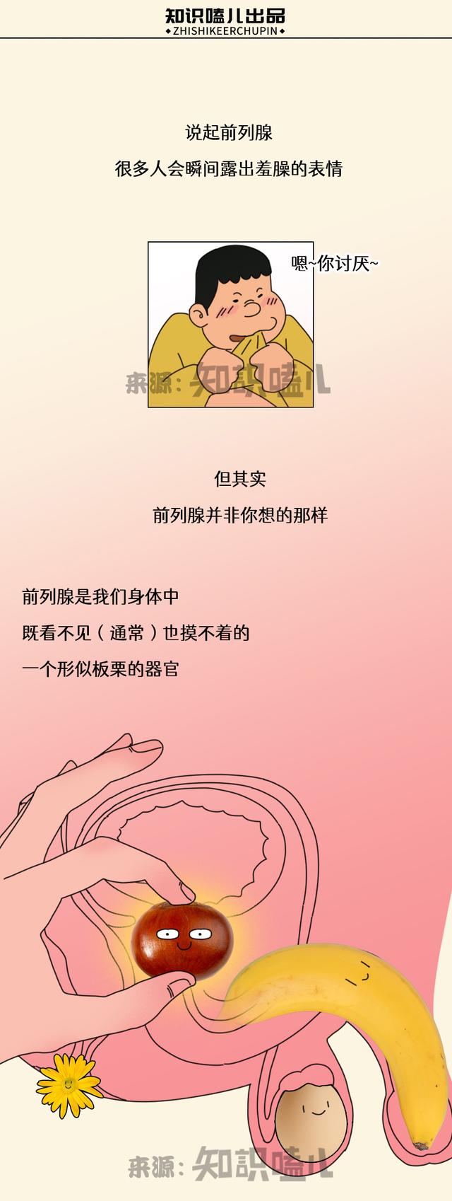 严肃科普：前列腺到底是什么？有啥用？（女生勿入）