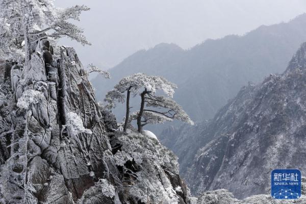 雪后黄山美图来了！银装素裹，宛如仙境