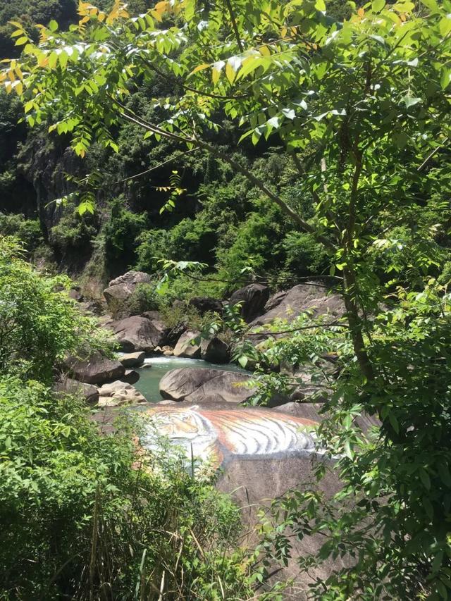 「景区｜温州永嘉两日游」浙南天柱——石桅岩