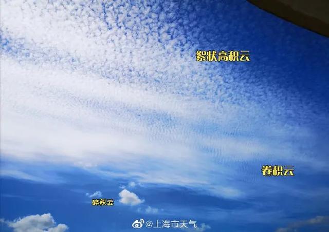 卷积云、碎积云、高积云……今天申城天空的云，属于这些类别！