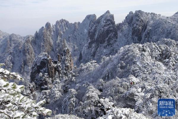 雪后黄山美图来了！银装素裹，宛如仙境