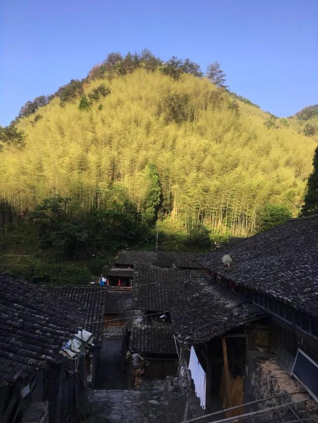 「景区｜温州永嘉两日游」浙南天柱——石桅岩