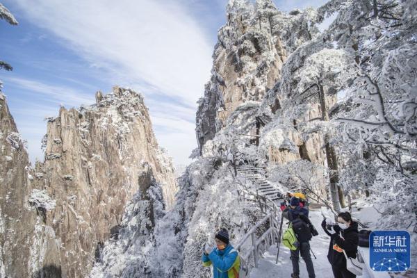 雪后黄山美图来了！银装素裹，宛如仙境