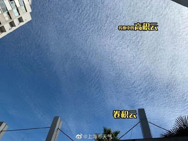 卷积云、碎积云、高积云……今天申城天空的云，属于这些类别！