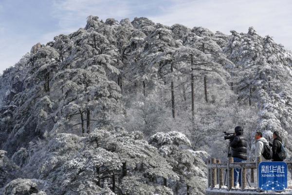 雪后黄山美图来了！银装素裹，宛如仙境